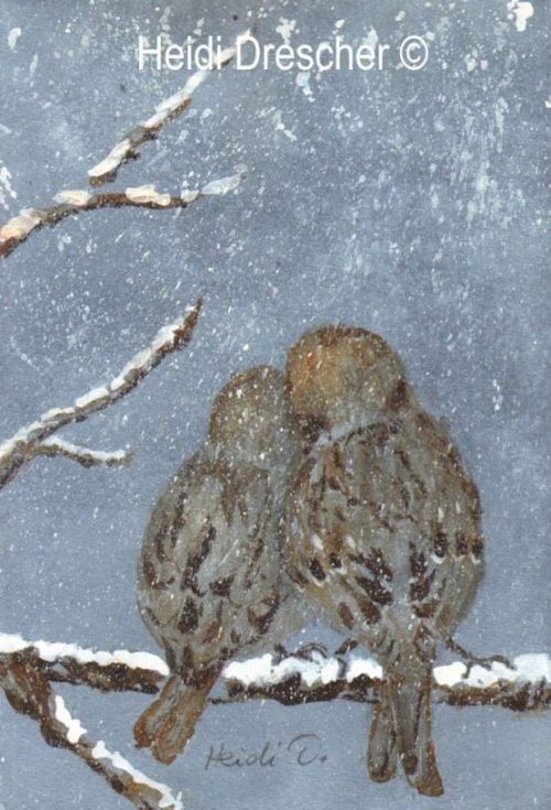 Kuschelwetter - Tierbild Vogel-Aquarell
